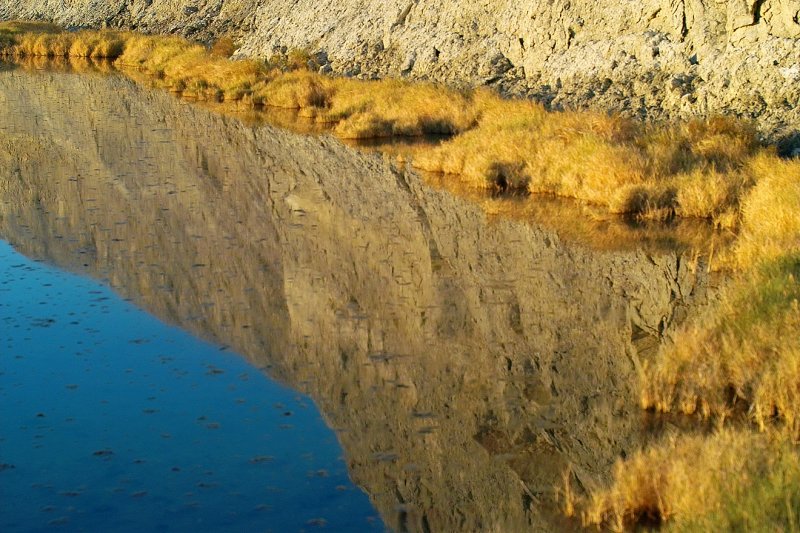 reflection