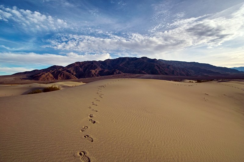 Tracks