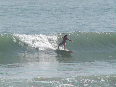 PA190046 2.JPG