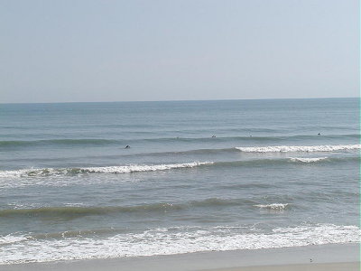 PA190076 2.JPG