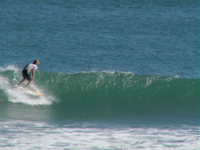 PB180046 2.JPG