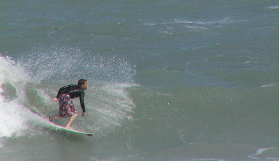 P3310009 2.JPG