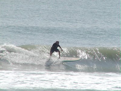 P4120047 2.JPG