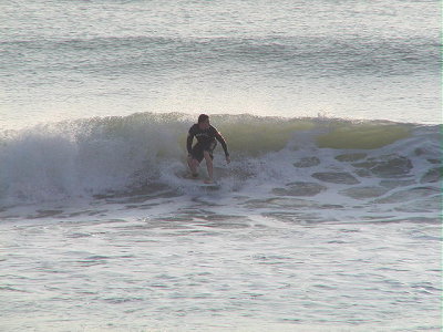P4200053 2.JPG