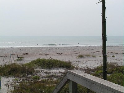 P5130006 2.JPG