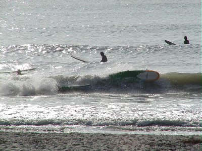 P7190022 2.JPG