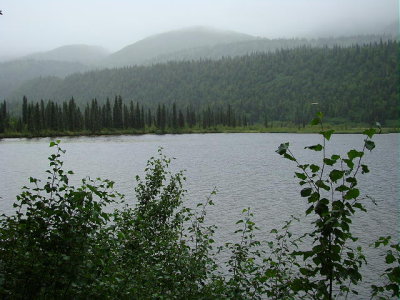 DSC00565 2.JPG