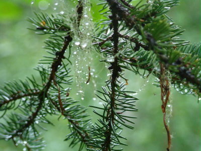 DSC00583 2.JPG