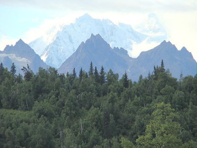 DSC00694 2.JPG