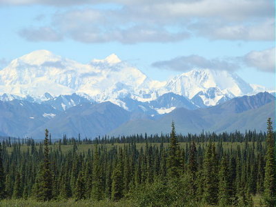 DSC00816 2.JPG