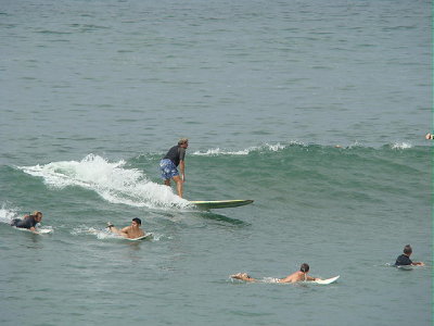 DSC01118 2.JPG