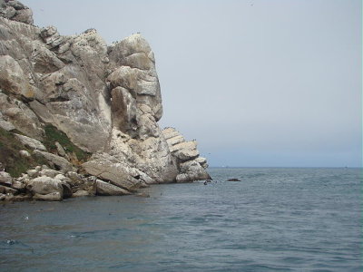 DSC01292 2.JPG