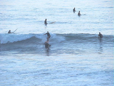 DSC02337 2.JPG