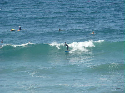 DSC04445 2.JPG