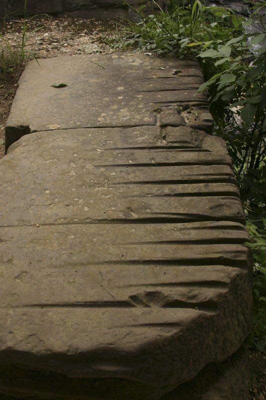 C & O Canal: Rope Burns
