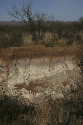 Murray Springs Clovis Kill Site
