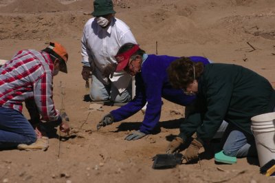 Digging For Artifacts