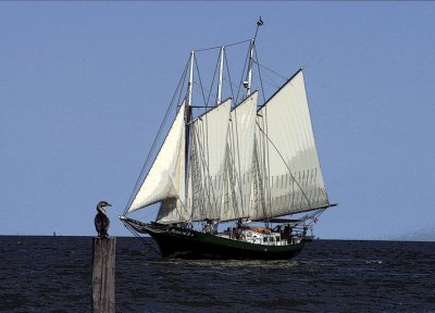  Summer on the Chesapeake and Ohio Canal