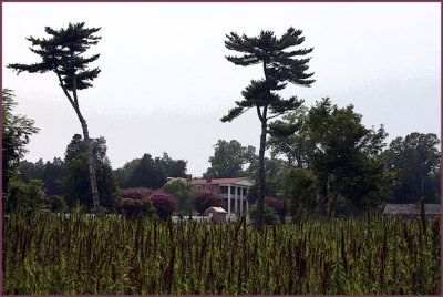 President Andrew Jackson's Home