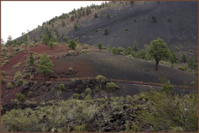 Sunset Crater Volcanic National Monument