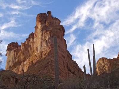 Cliff and saguaro