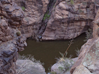 View down into Fish Creek just above Salt River spillway