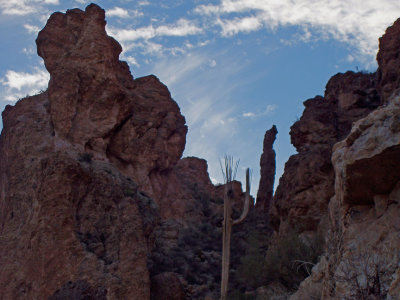 Saguaro skeleton and rock pillar