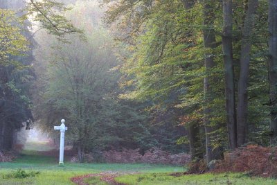 Bois & forêts