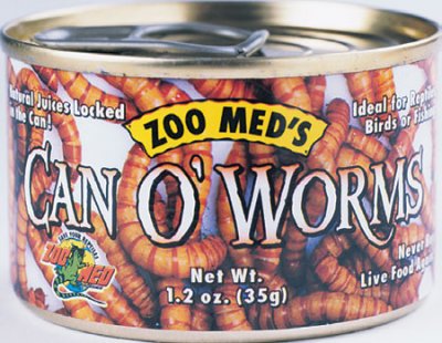 can-o-worms.jpg