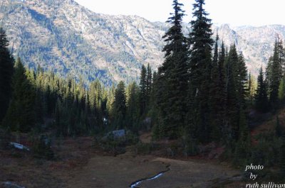 Pacific Crest Trail near Chinook Pass,Yakima Co.