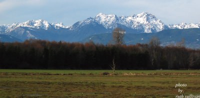 Olympic Mountains