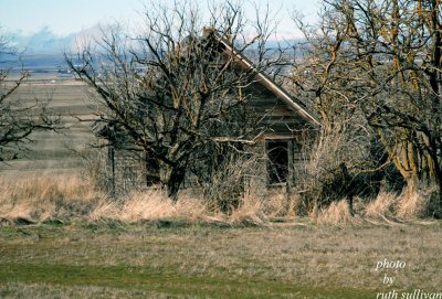 abandoned homestead