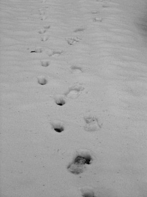 Footprints