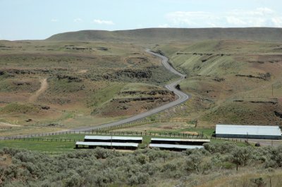Winding Road