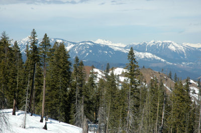 Towards the Deeper Cascades