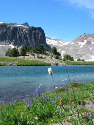 Flowers and Views at Warm Lake