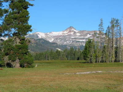 View from Conrad Meadows