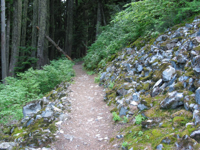 Trail