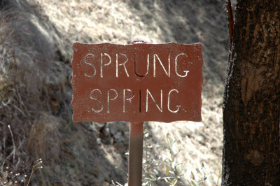 Sprung Spring