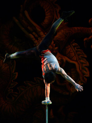 acrobatic-2.jpg