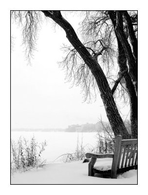 A chair, trees and the lake