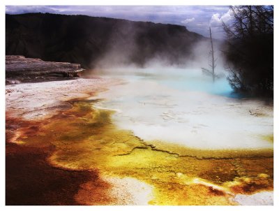 Mammoth -- Yellowstone