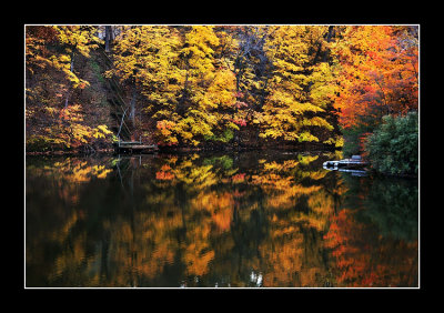 The lake in fall
