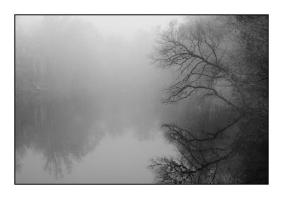 Fog over the lake