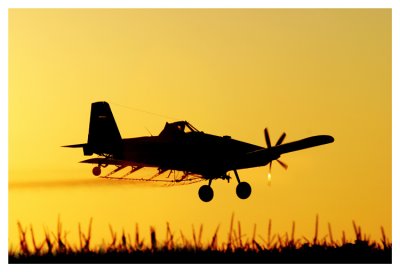 Flying in the sunset