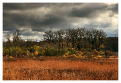 Autumn view