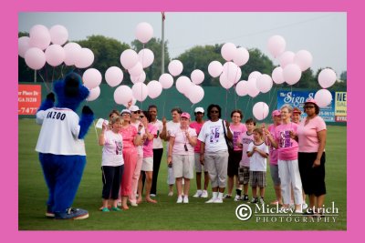 Susan G. Komen Pitch for the Cure Night