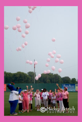 Susan G. Komen Pitch for the Cure Night