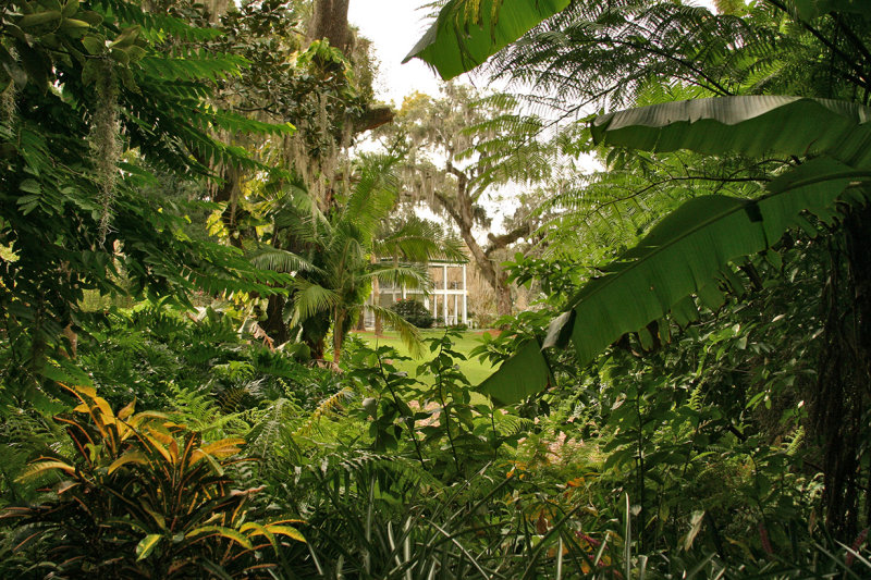 Peeking through the foliage
