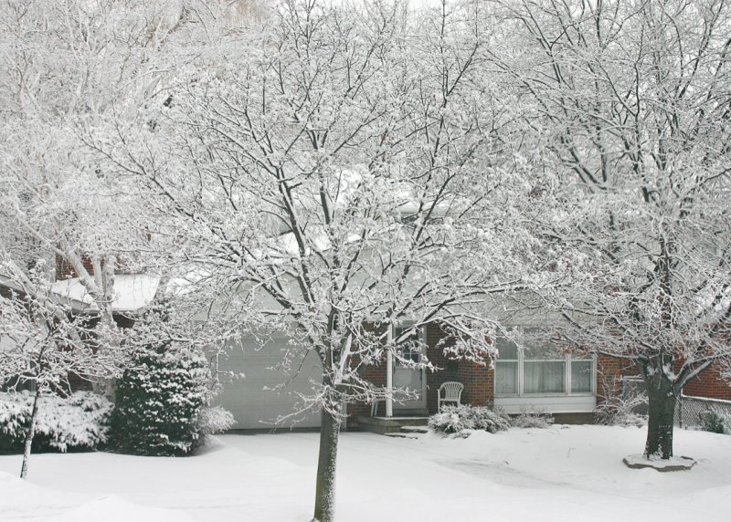 Snowed Last Night